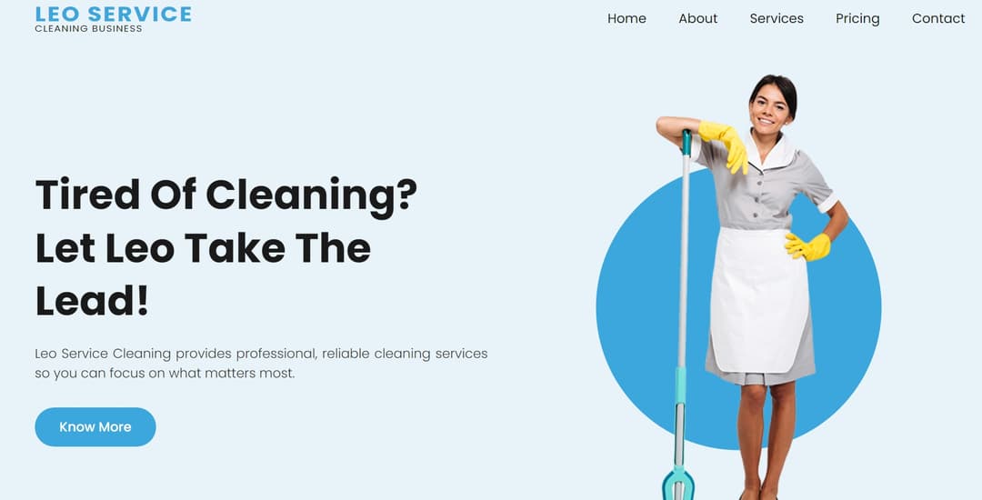 Leo Service Cleaning Business